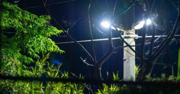 灯火採集　ライトトラップ　紫外線放出加工済　HID70W 三脚付　８mシガー電源 HIDライトトラップお作りします☆紫外線放出加工済☆連絡用 昆虫用品