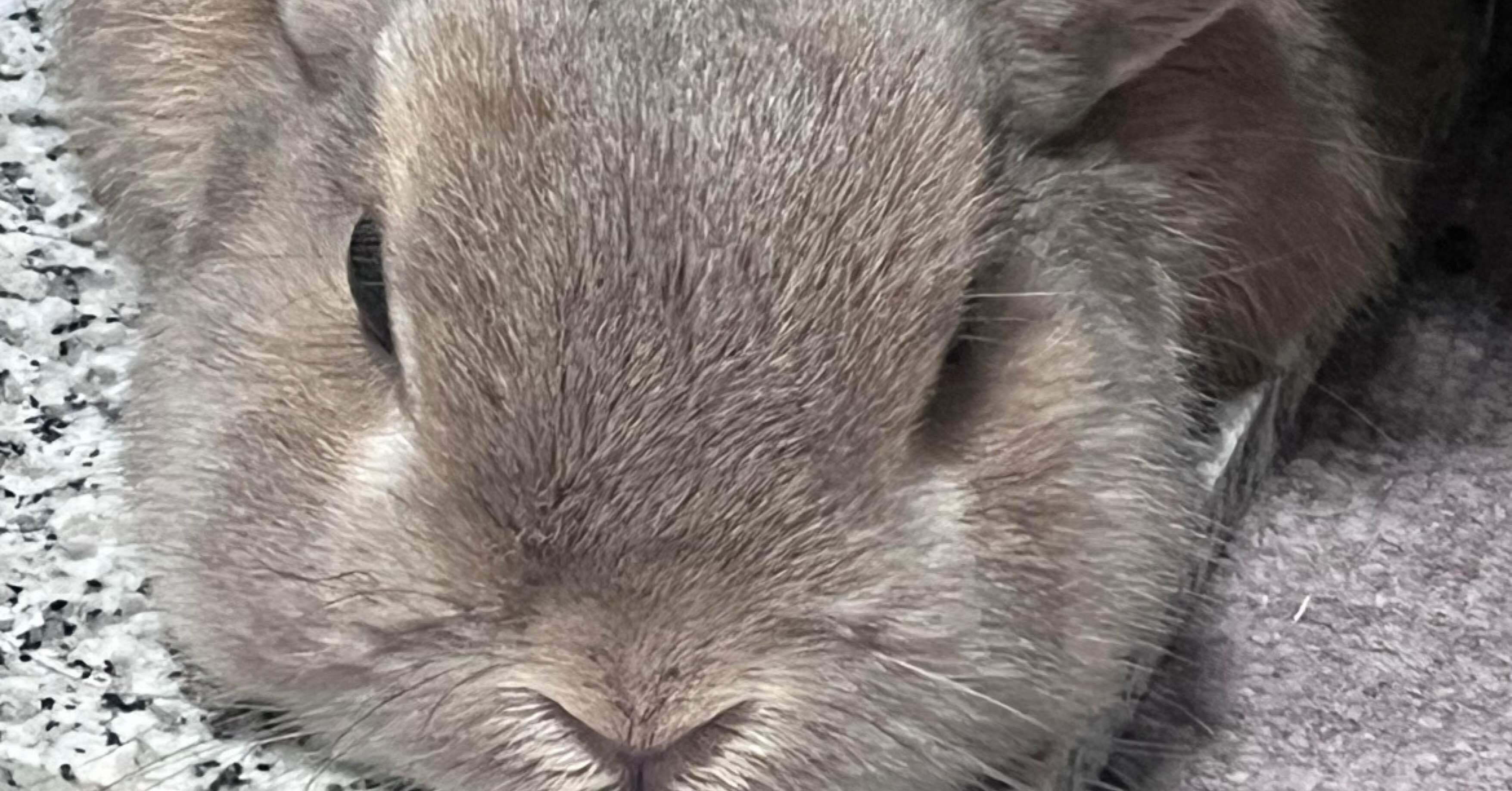 42b53073791d39d880a92c237856ff