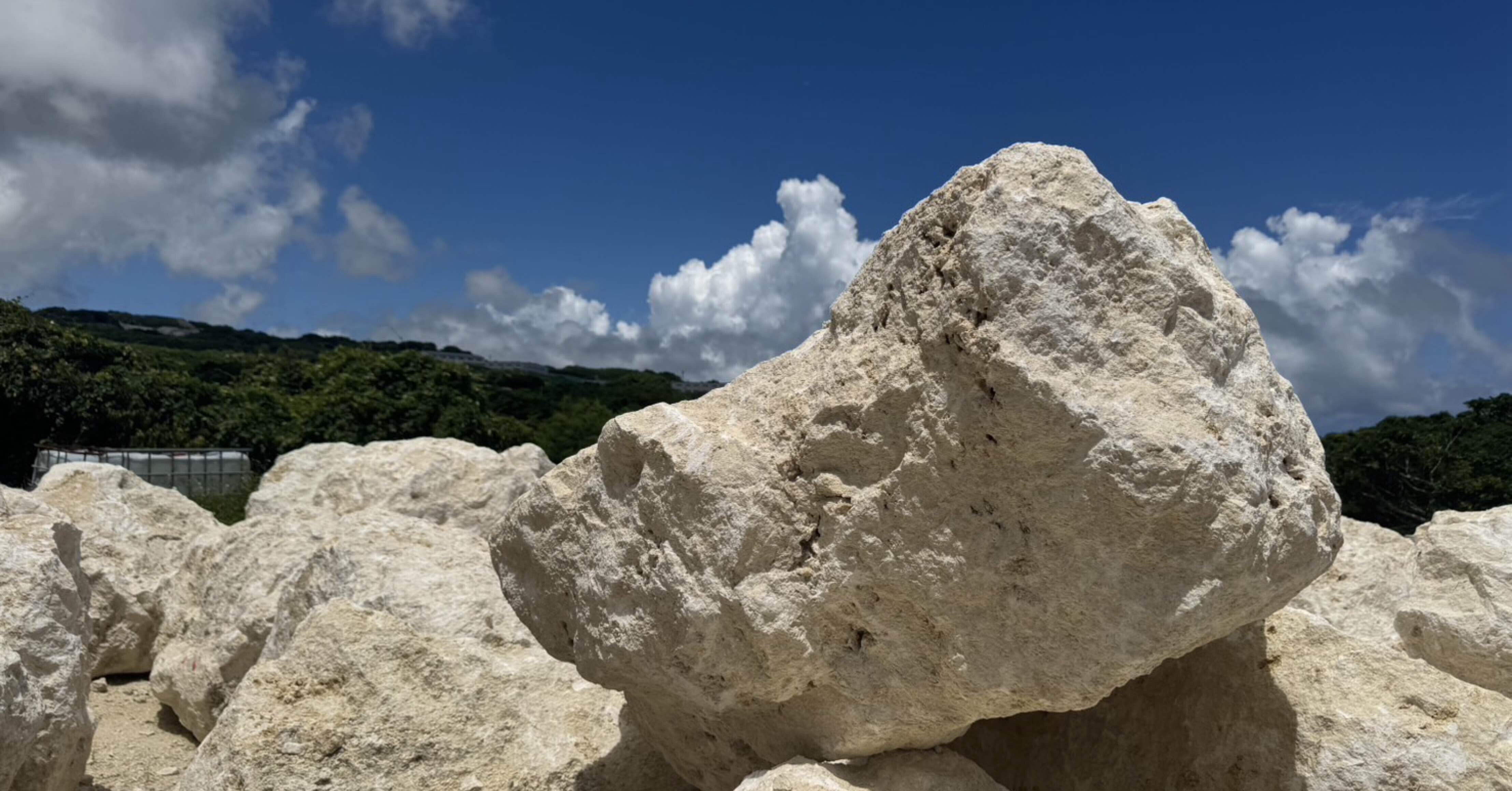 29a7df4c09baf52f00379f99f54c6f