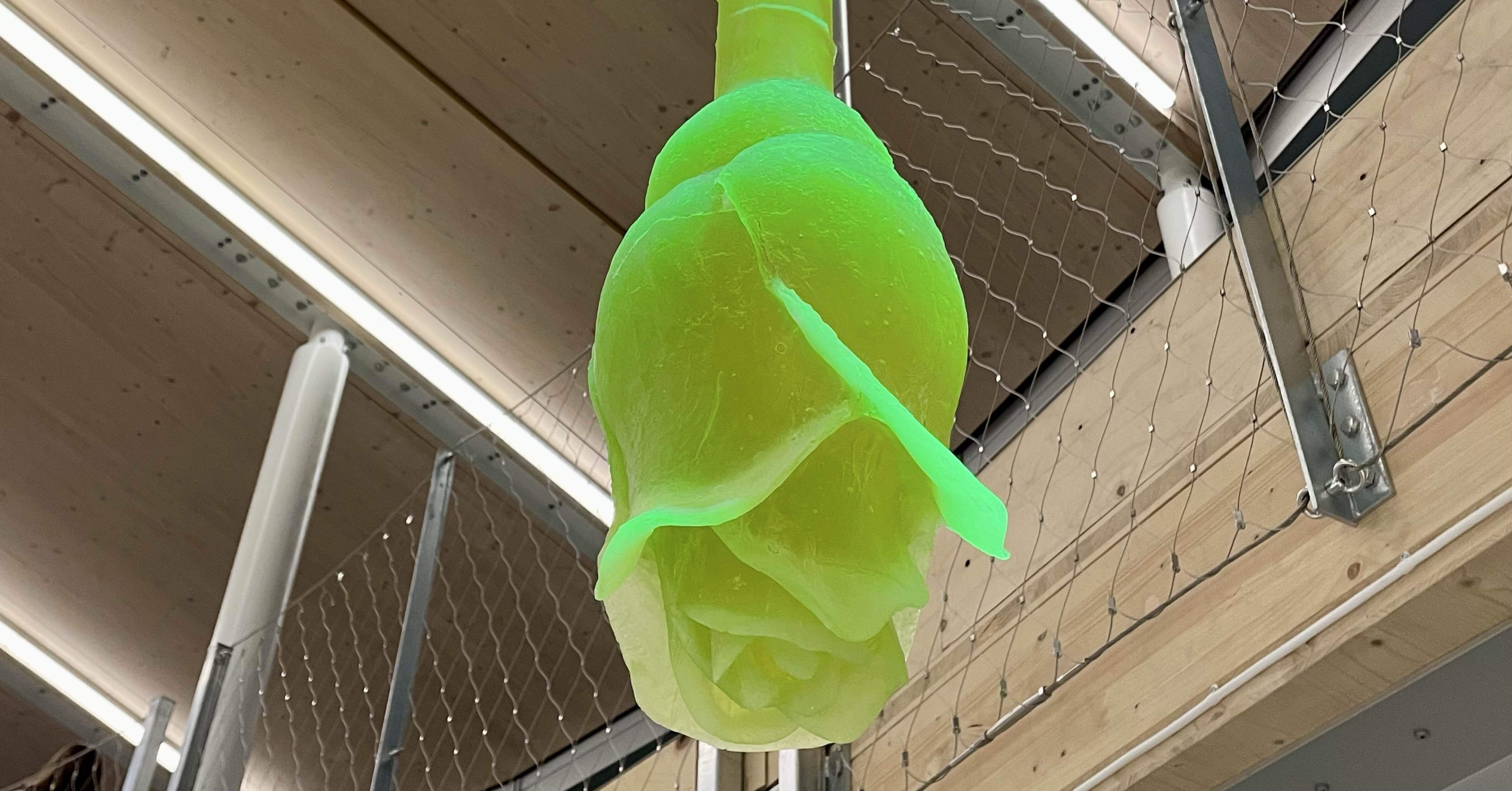 万博レポ：チェコパビリオン｜エリサ｜elysajewelry