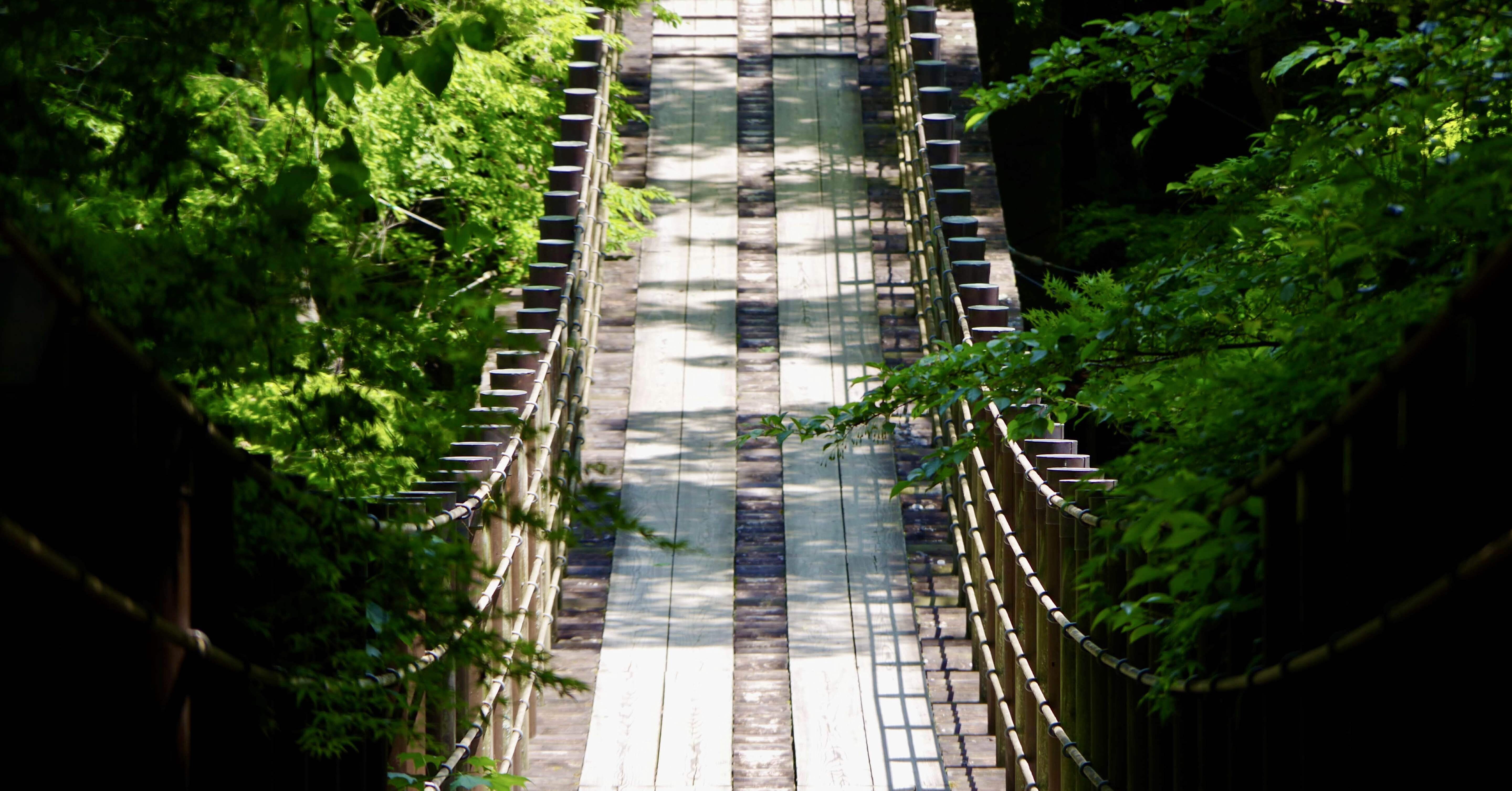 花園花貫県立自然公園 / Hanazono Hananuki Prefectural Natural