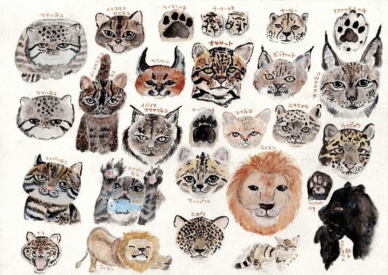 ステッカーシール、紆余曲折。｜遥かなた