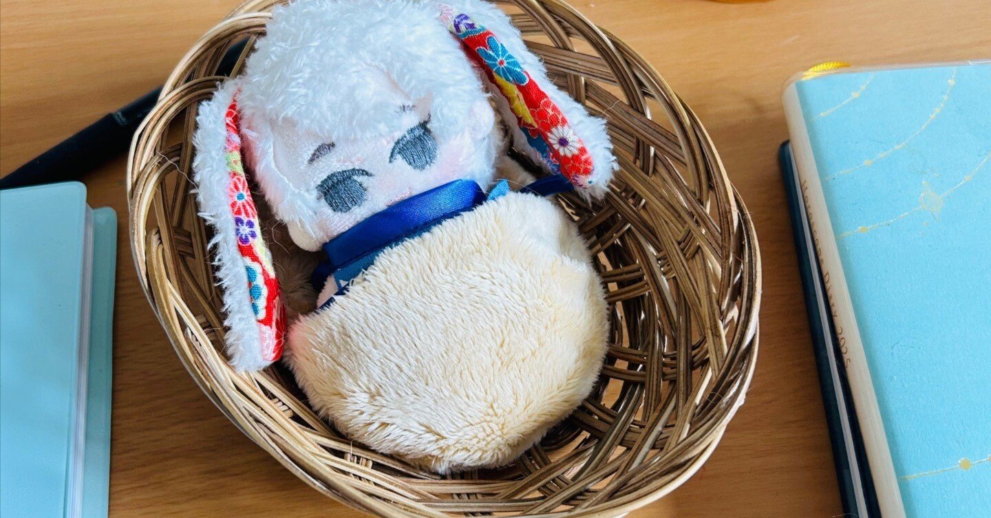 ちくちくちく！ぬいぐるみ、ぬいをつくる日々｜かんなねこ