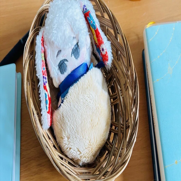 ちくちくちく！ぬいぐるみ、ぬいをつくる日々｜かんなねこ