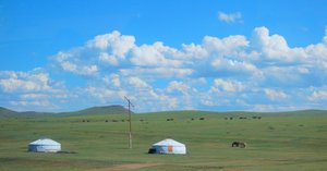 モンゴル様確認用 rectangle_large_type_2_73d5074