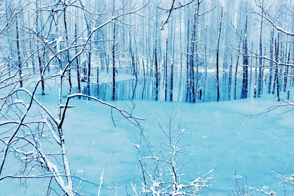 画像39