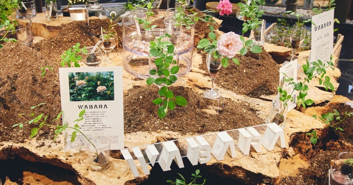 POP-UP REPORT】WABARA「おへやで育てるばら mini」がFLOWER VASE