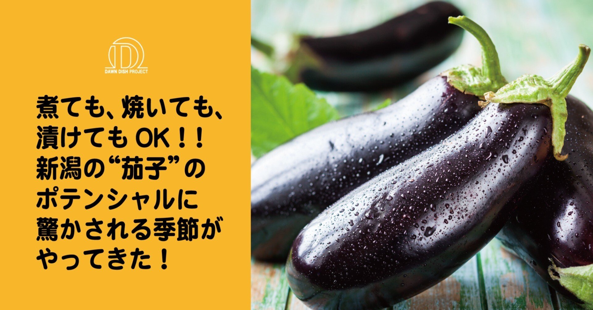 煮ても、焼いても、漬けてもOK！！新潟の“茄子”のポテンシャルに驚かさ