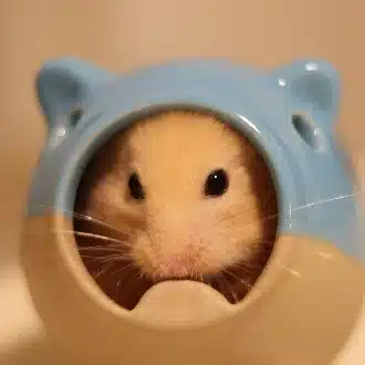 のだのおかぁ｜経理｜