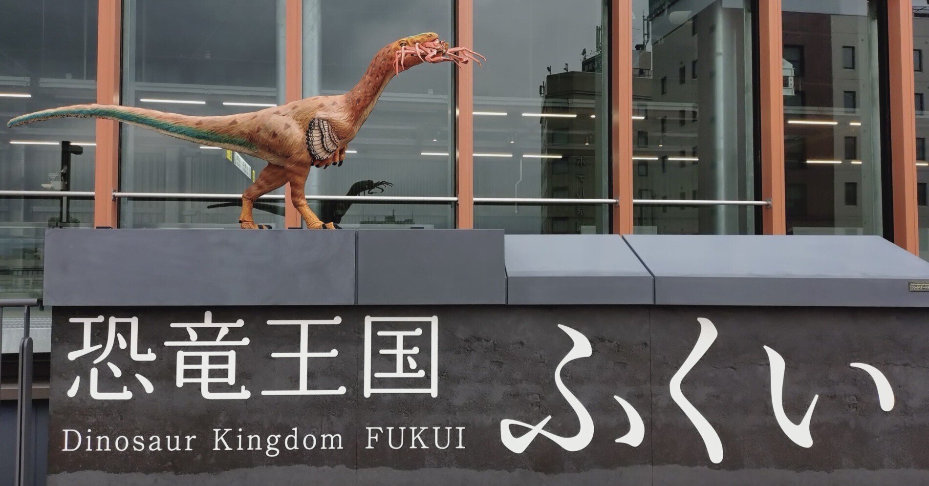 モーニング娘。'19 3/17八王子昼公演一般席1階22列30～40迄の間1枚 モーニング娘。\u002724 | チケットぴあ[チケット購入・予約]