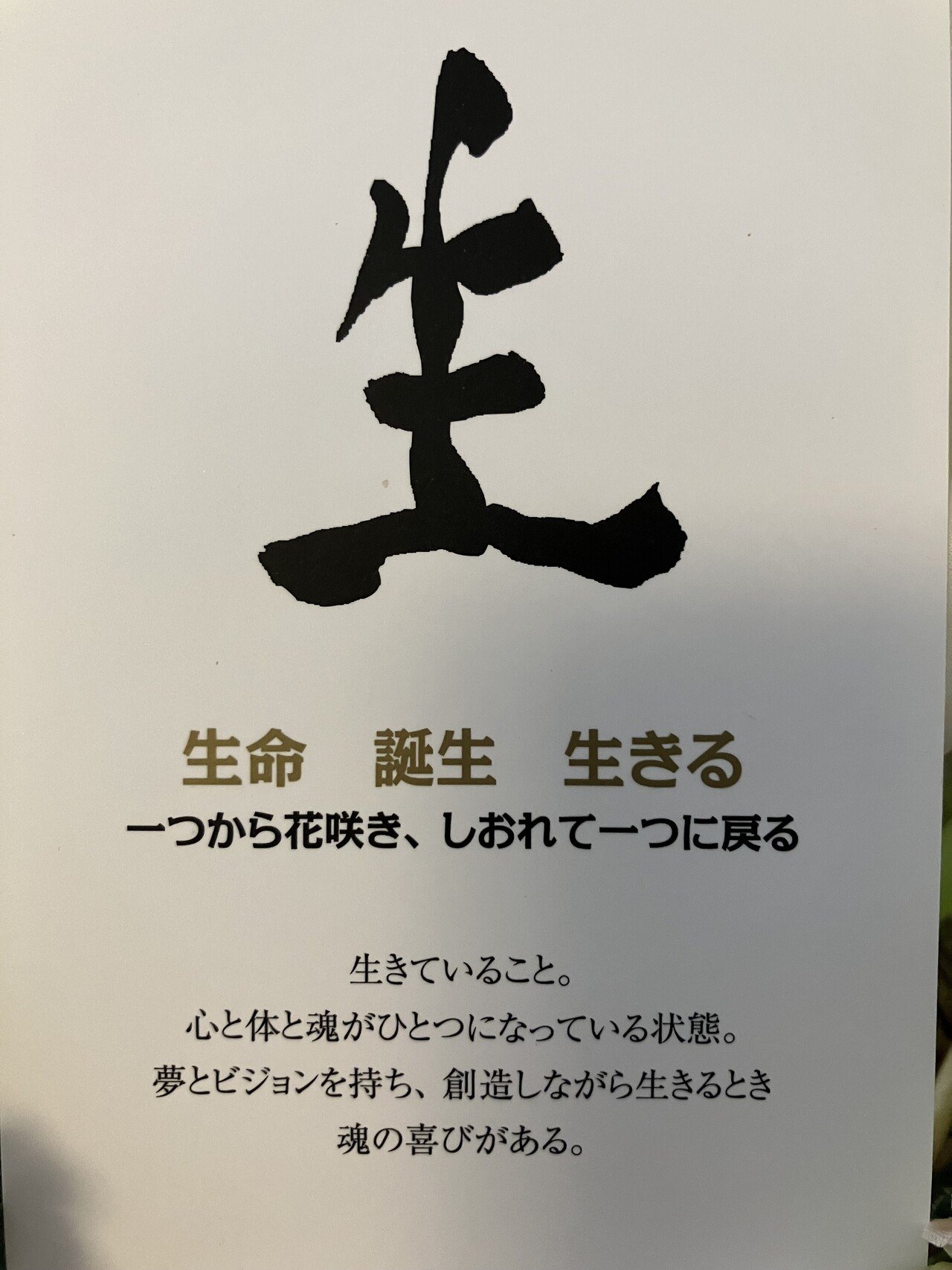 ⭐︎今日のカード｜鳳月庵（manazuki）/算命学