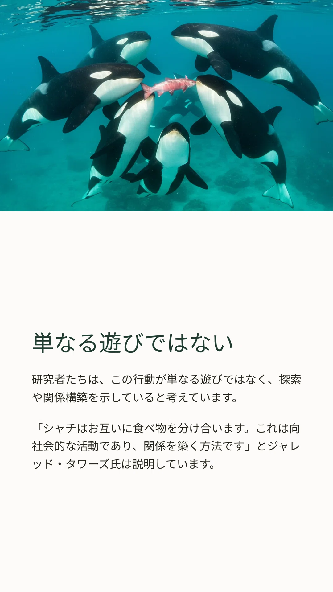 公の場での発言・インタビュー報道記録