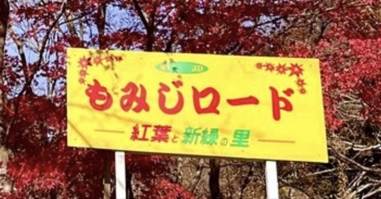 もみじロード｜けんと