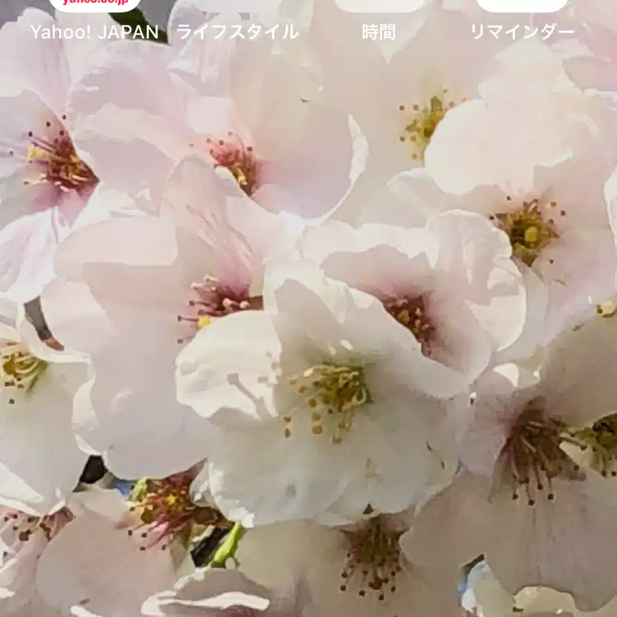みずのえ