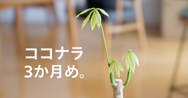 ミニサイズモノメタルモデル「木花咲耶(コノハナサクヤ)」｜en
