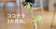 ミニサイズモノメタルモデル「木花咲耶(コノハナサクヤ)」｜en