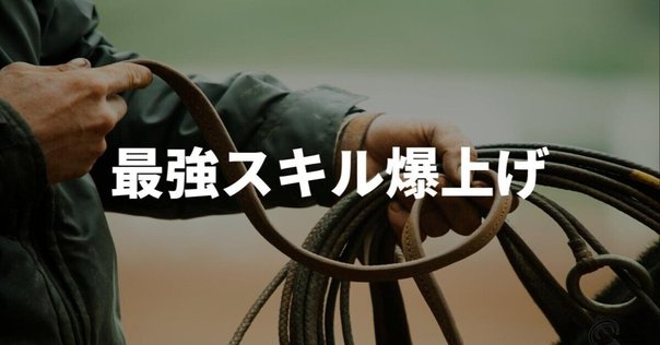 シーカー　ヨーヨー 2個 シグネってのはこういうヨーヨーを言うんだ！ ：C3yoyodesign