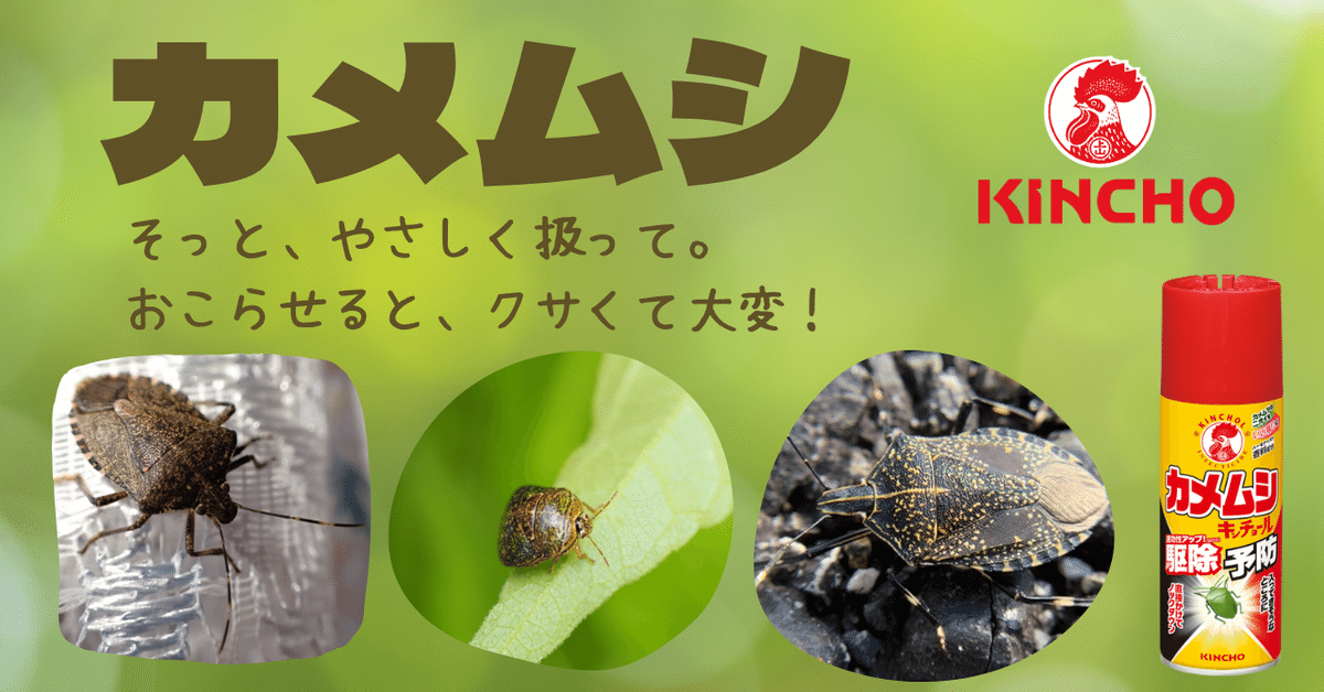 カメムシ駆除予防スプレー　キンチョール　12本 カメムシ駆除予防スプレー キンチョール 12本 カメムシ