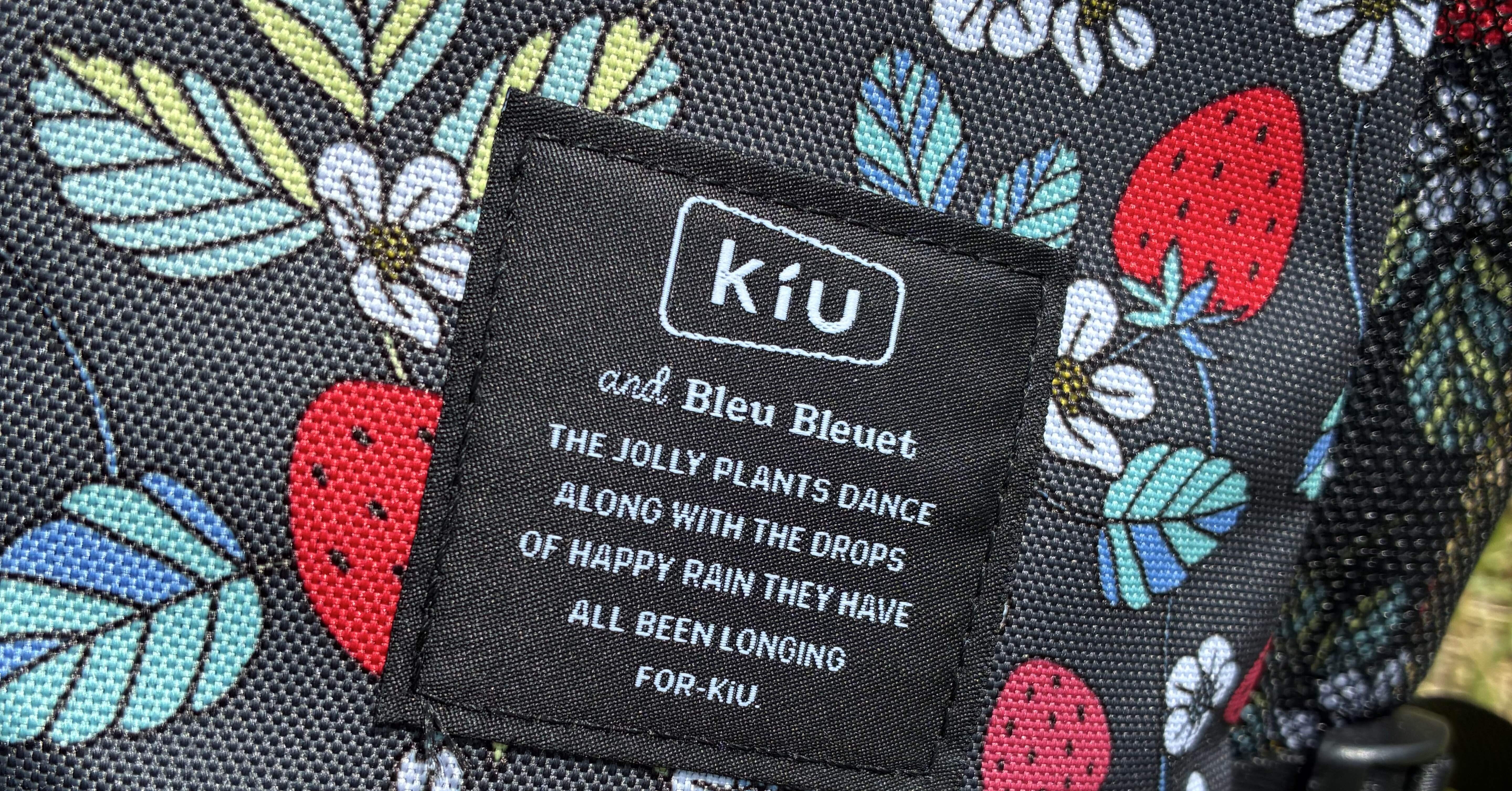 真作/野村松韵/苺図/イチゴ/布袋屋掛軸HF-452 真作/野村松韵/苺図