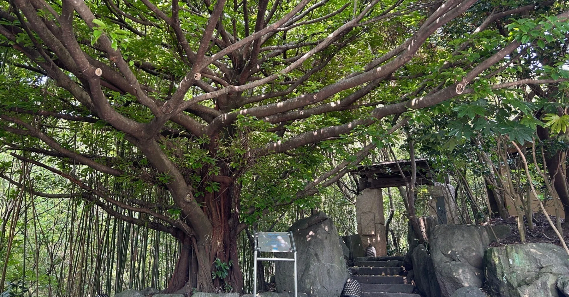 23周年のご挨拶｜石山離宮 五足のくつ/オーナー 山﨑 博文