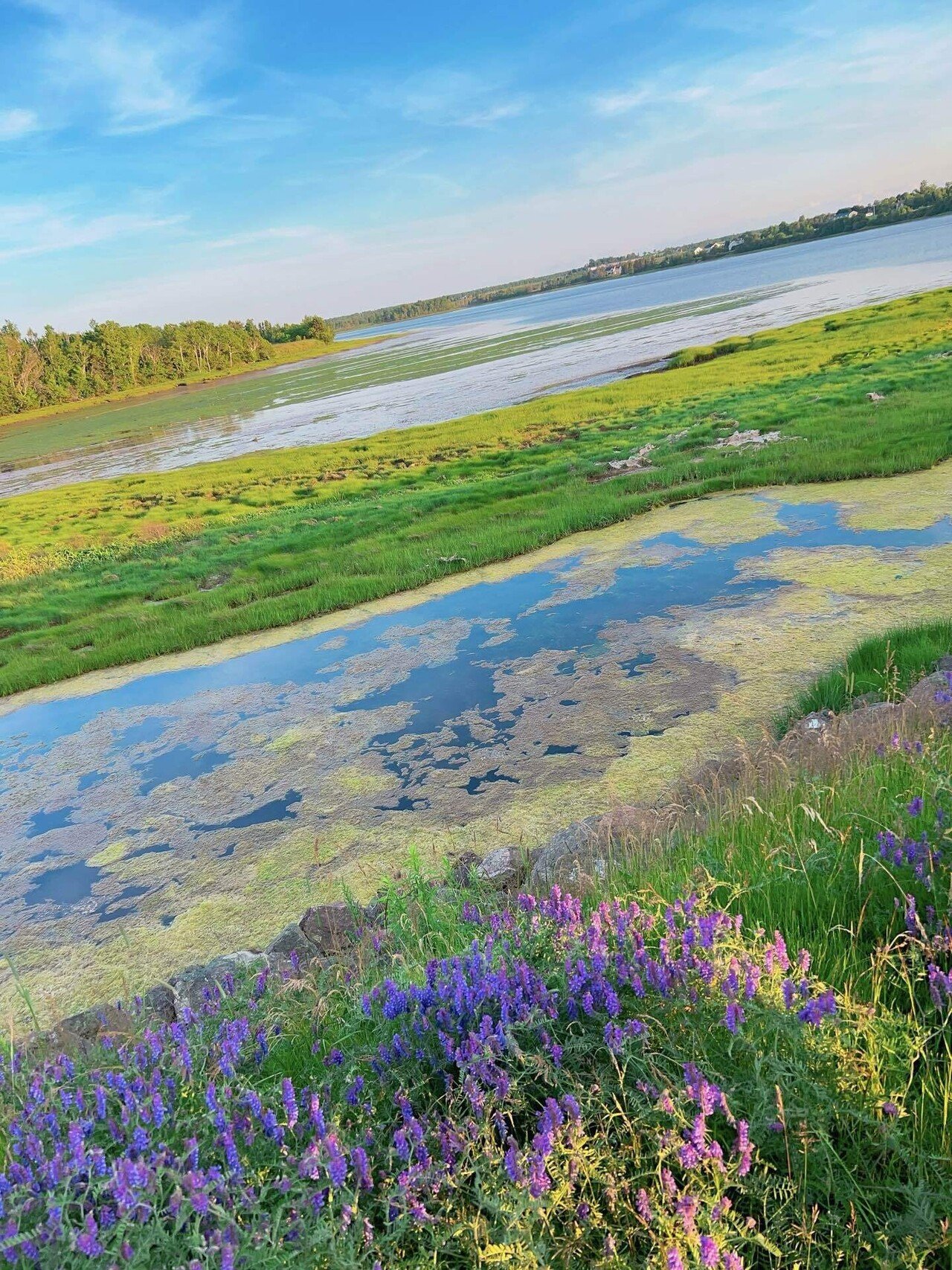 プリンスエドワード島旅行記③カナダ59日目｜yuzumugicha