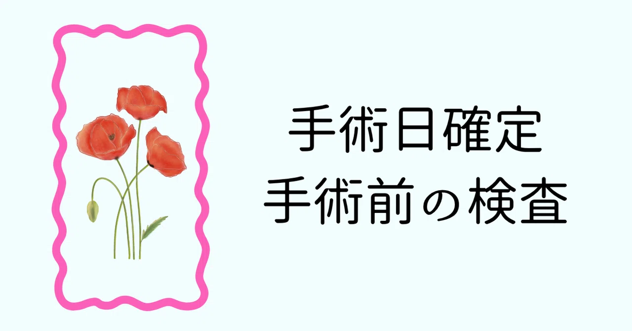 Dislocation Struggle Part 4 (Pre-operative Examination)｜まるきょん