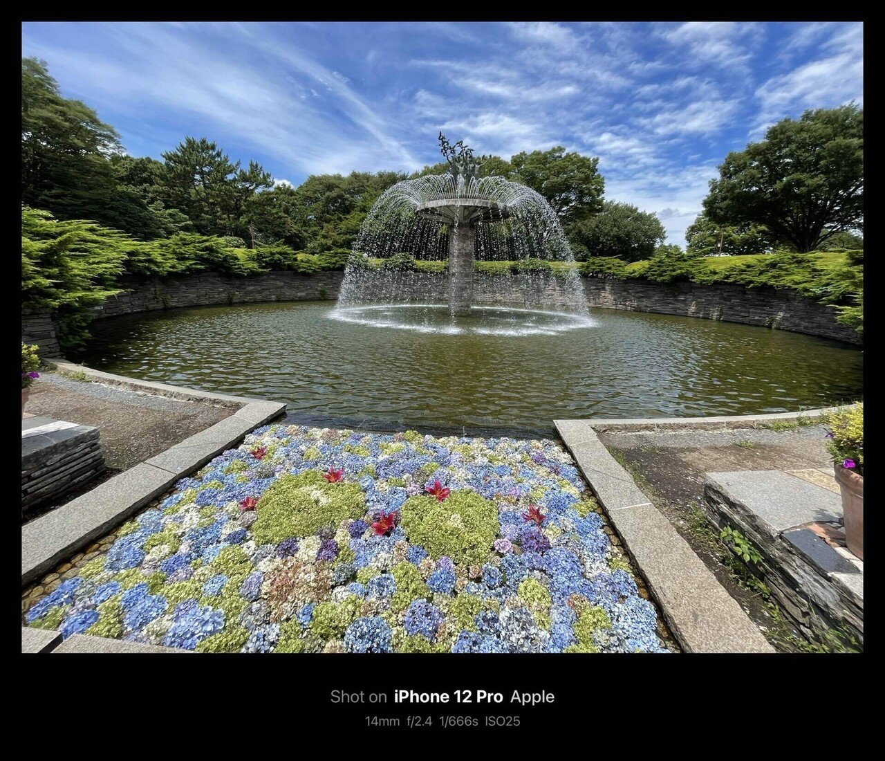 国営昭和記念公園 / Showa Kinen Park【2021】(Tokyo, Japan)｜N