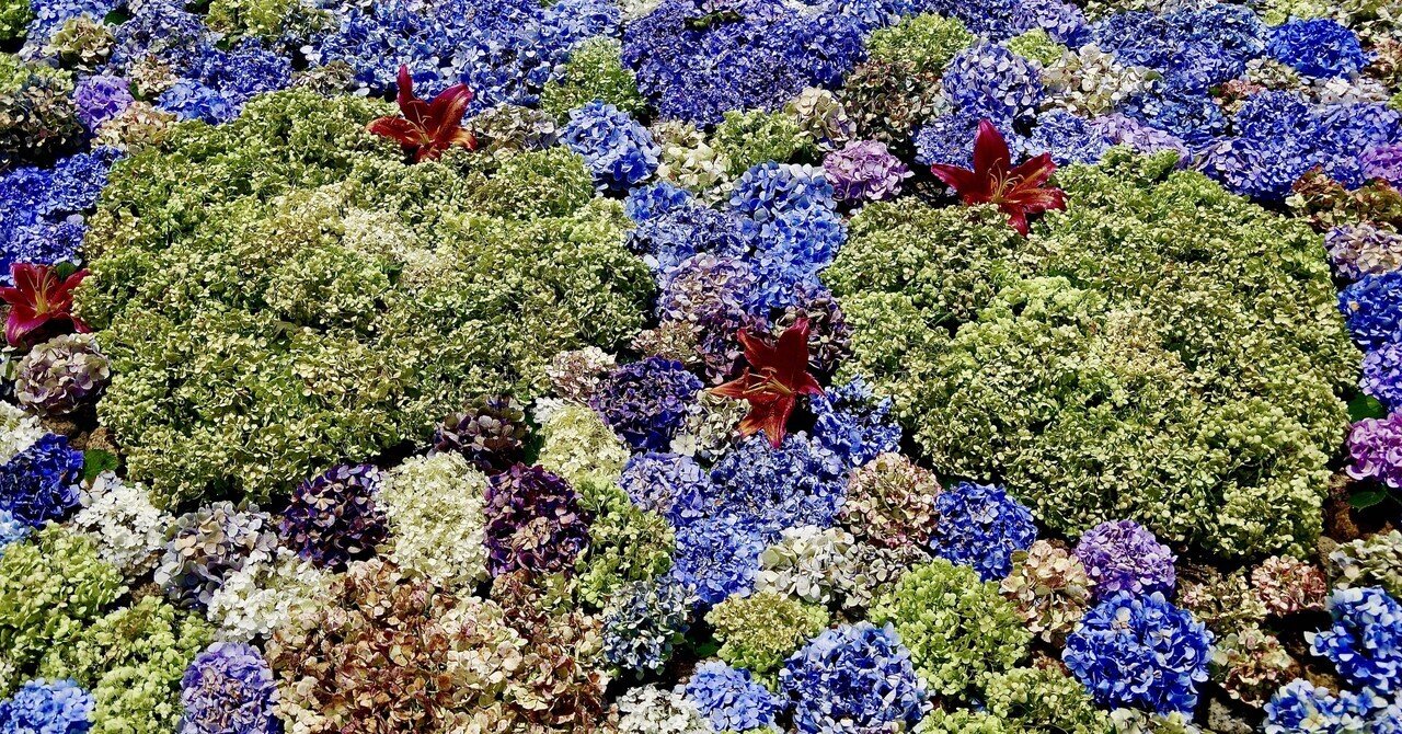 新発売 日本の風景 自然公園50周年記念 本 人文 - 人文