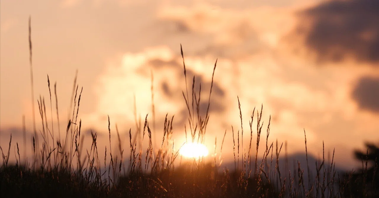 夕日 / FUJIFILM GFX100 II / GF55mmF1.7 R WR｜TAKU