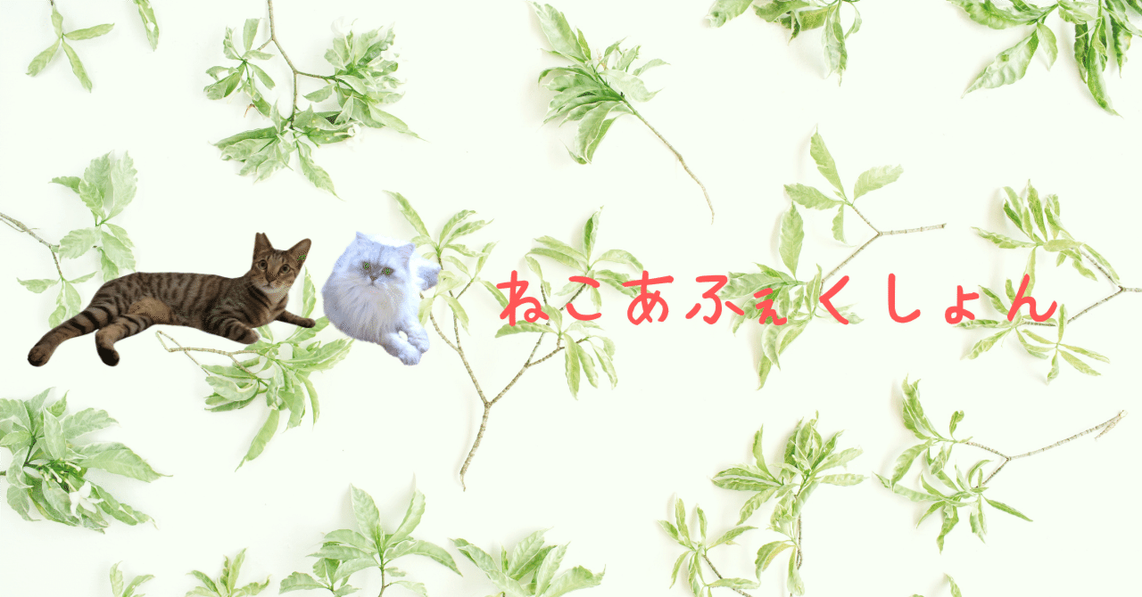 もも猫ページ ネコ様 （ネコの書籍ッ！予約受付中ッ！ ハイライトからッ