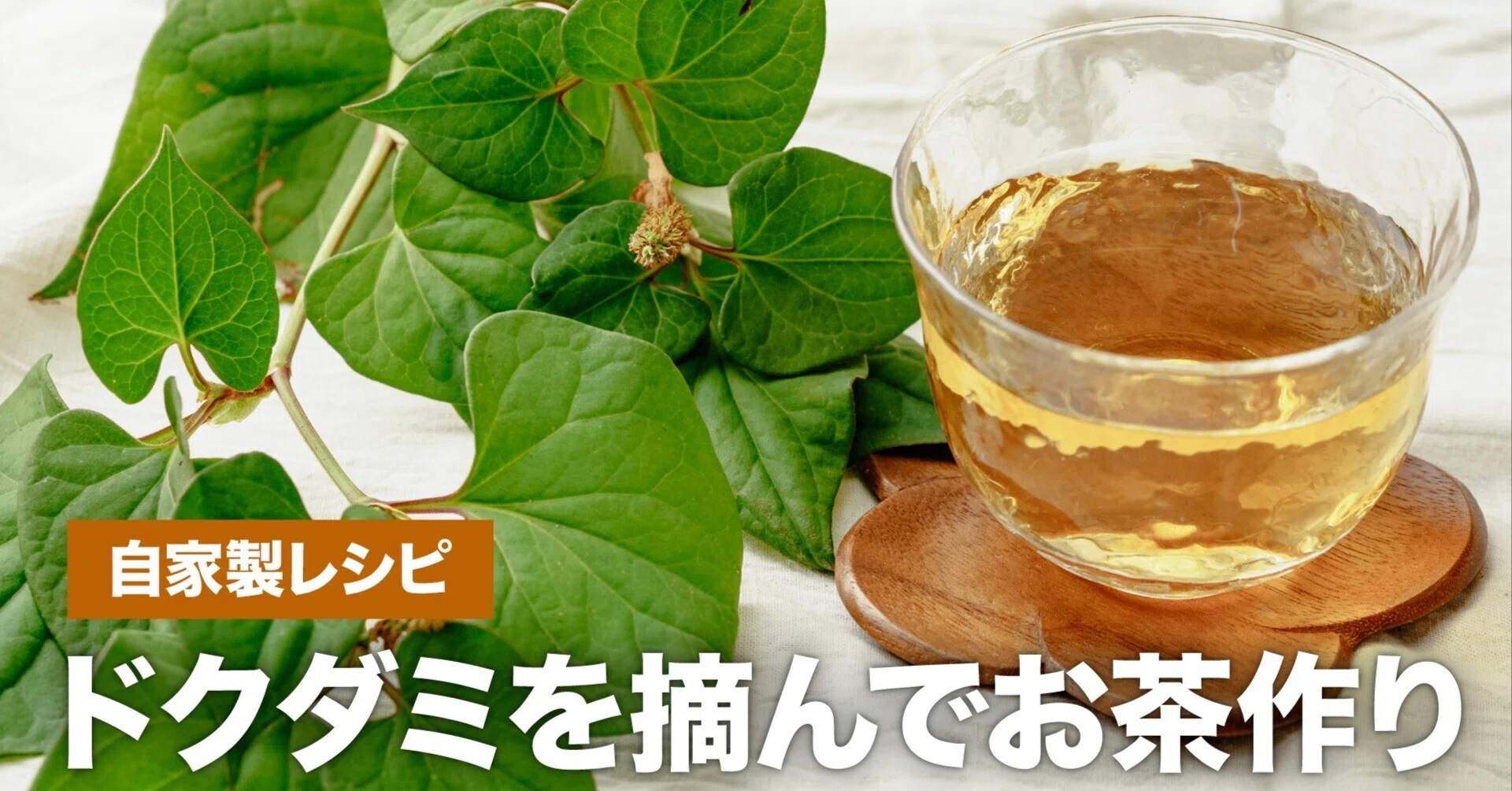 どくだみ 茶 の 作り方