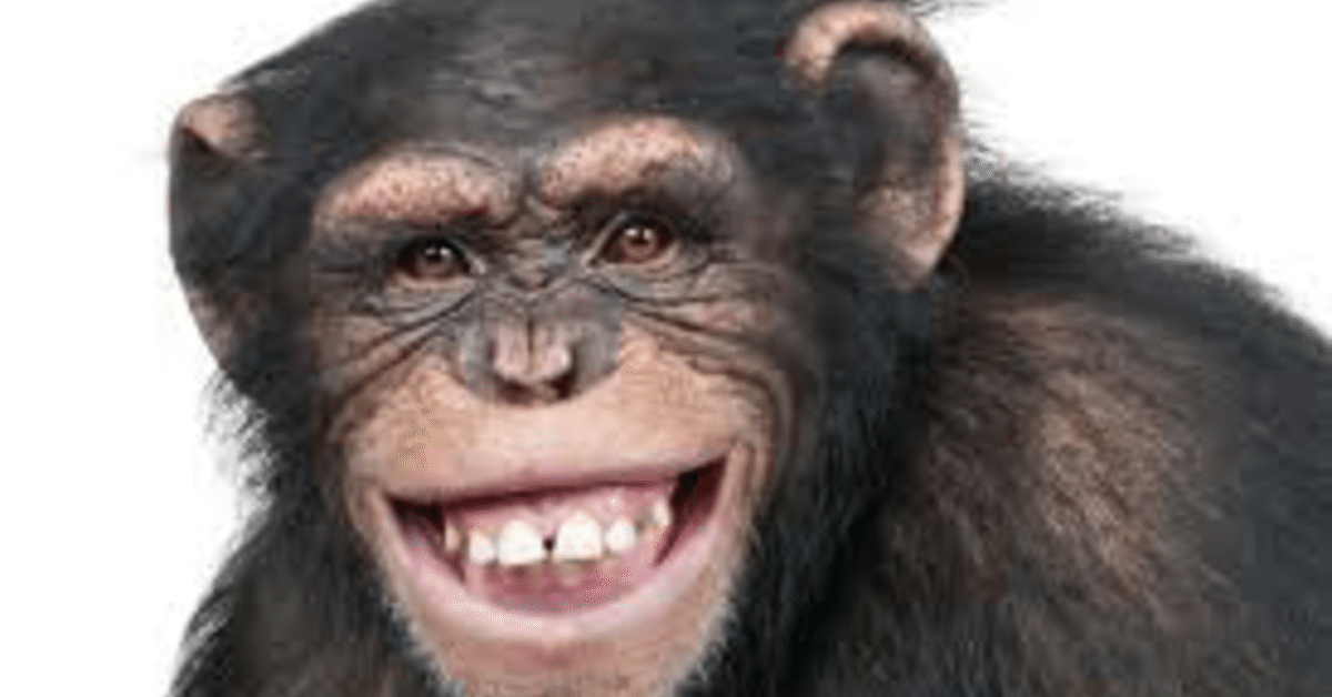 ちんぱんじーデッキ