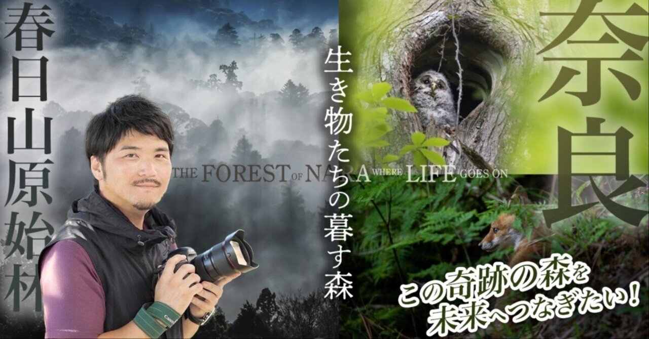 「ふるさと秦野・伊勢原」　生活感あふれる写真でつづる決定版写真集! 保存版 ふるさと秦野・伊勢原 生活感あふれる写真でつづる決定版写真集