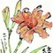 山下安音