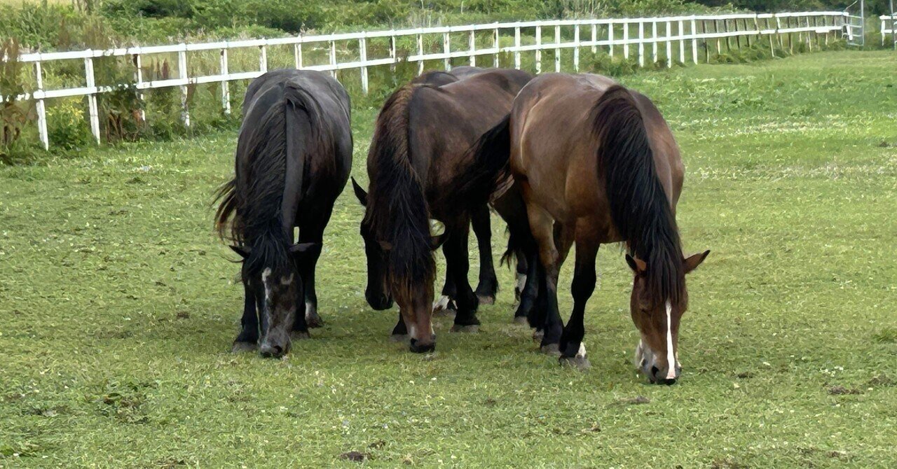 寒立馬】青森・北海道5日間の謎なおでかけ2☆まさかり下北半島の