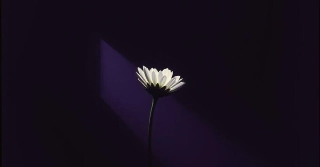 心の闇に咲く花｜ 冬月剣太郎