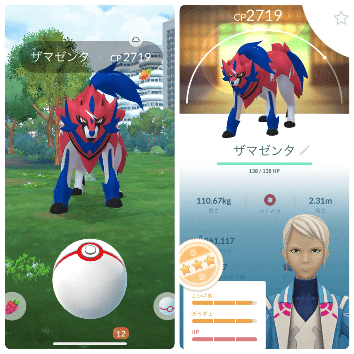 ポケモンGO ソード&シールド ヒラマサ Switch】『ポケットモンスター ソード・シールド』ダブルパック
