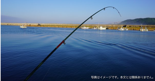 テンリュウ(TENRYU) レイズ(Rayz) オルタ RZA62UL-S (Midge