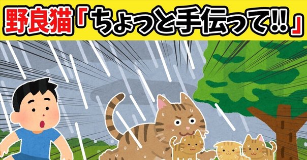 もう一度猫と暮らしたい｜見汐麻衣