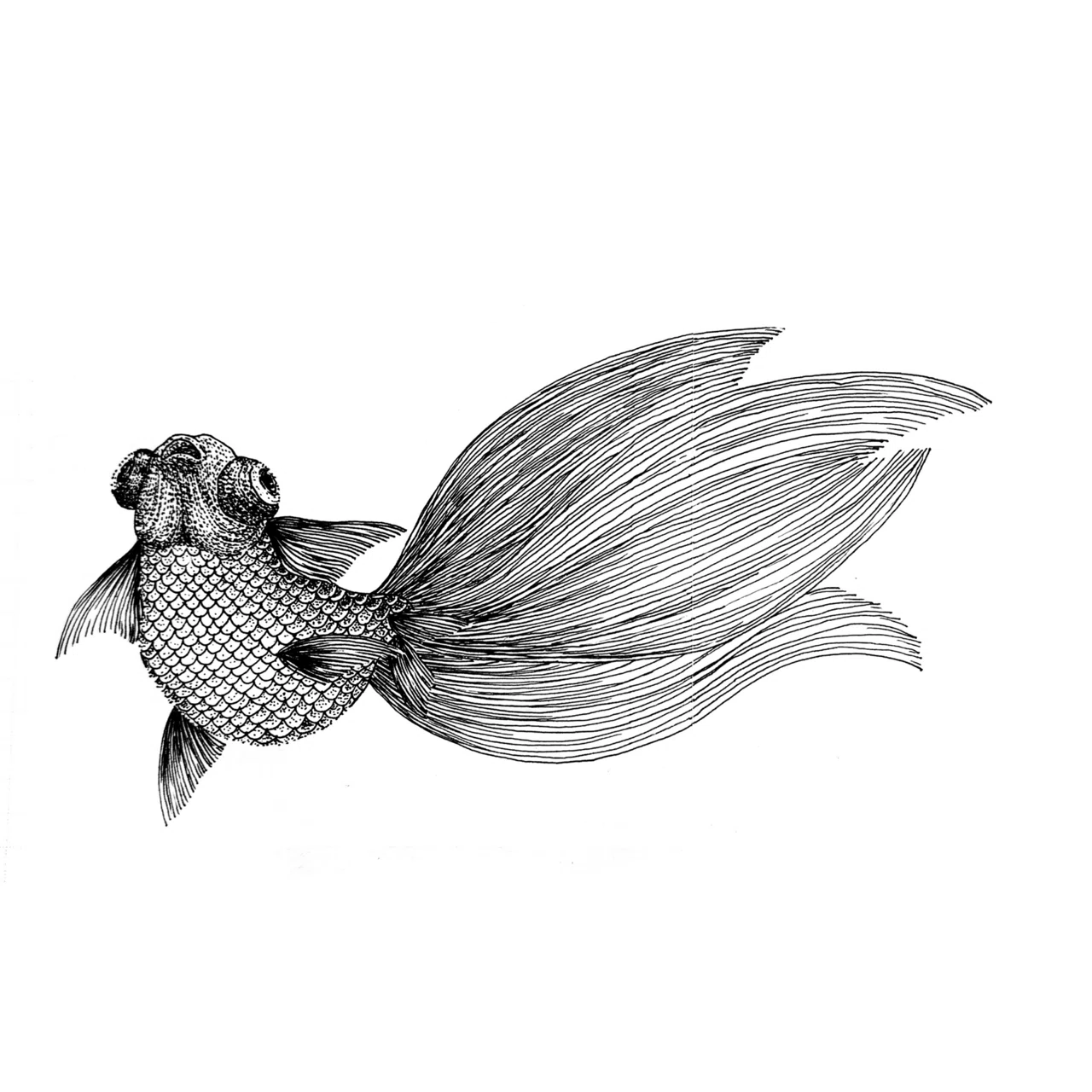 金魚の絵 振り返りと分析①｜千尋