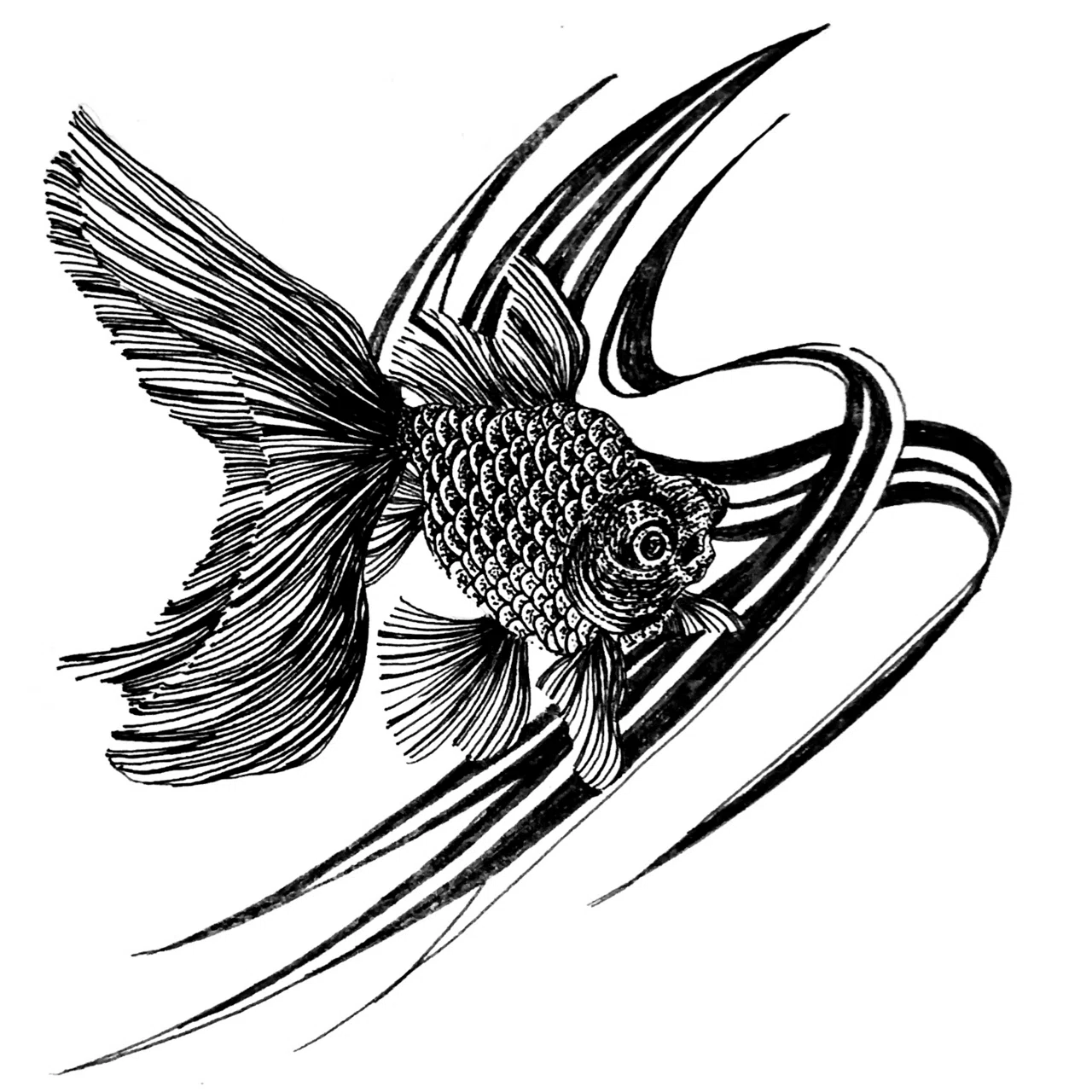金魚の絵 振り返りと分析①｜千尋