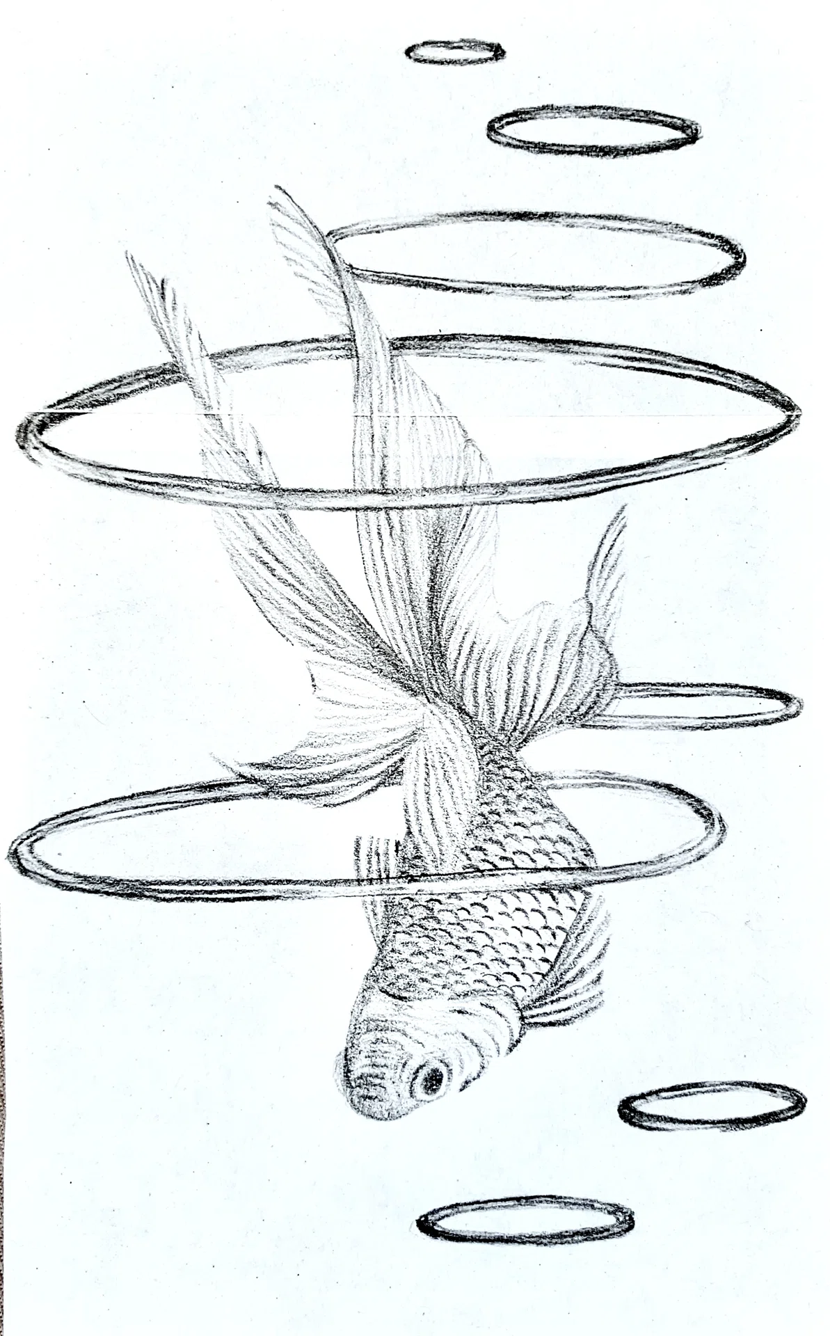 金魚の絵 振り返りと分析①|千尋 金魚の絵 振り返りと分析①|千尋