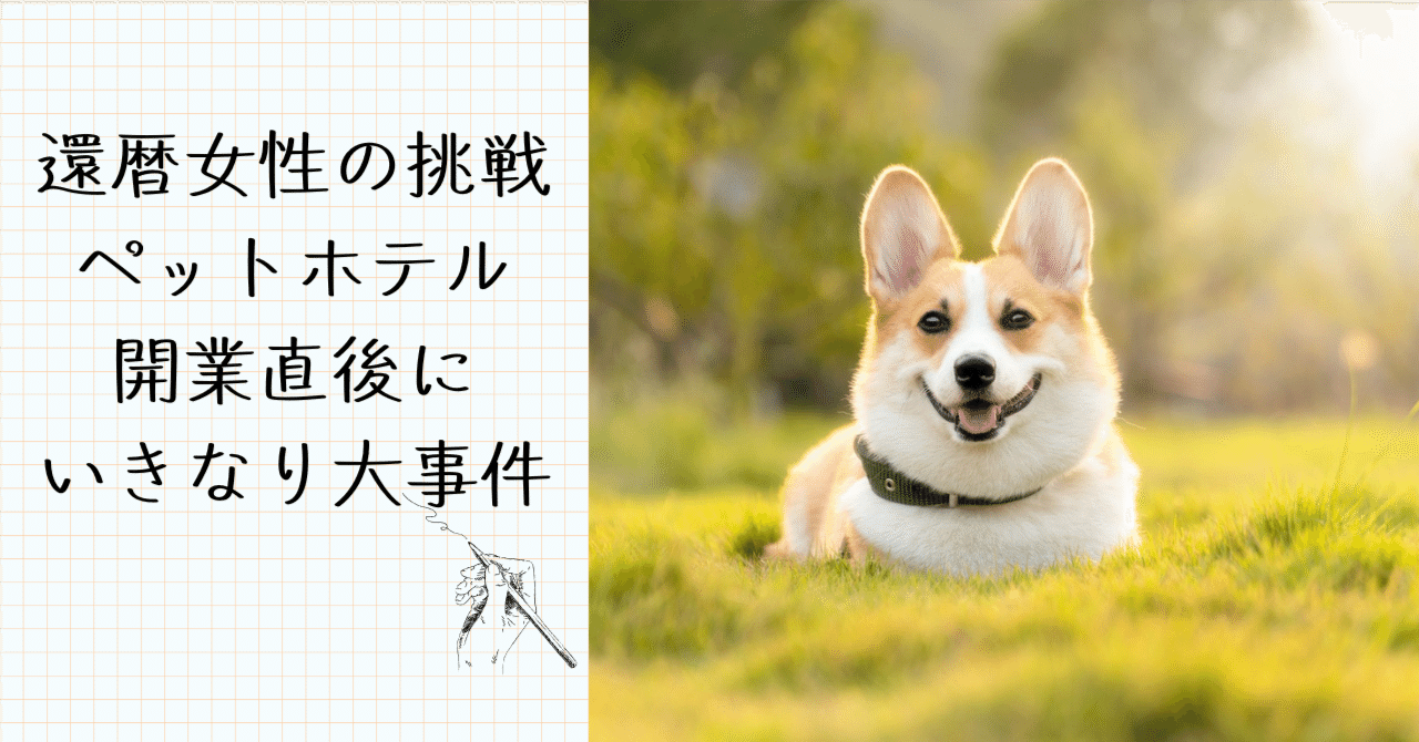 たのまなヒューマンアカデミーペット講座