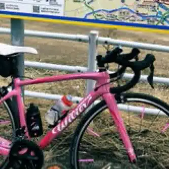 番外編:ピンクのWilier｜hi7@シクロクロス挑戦録