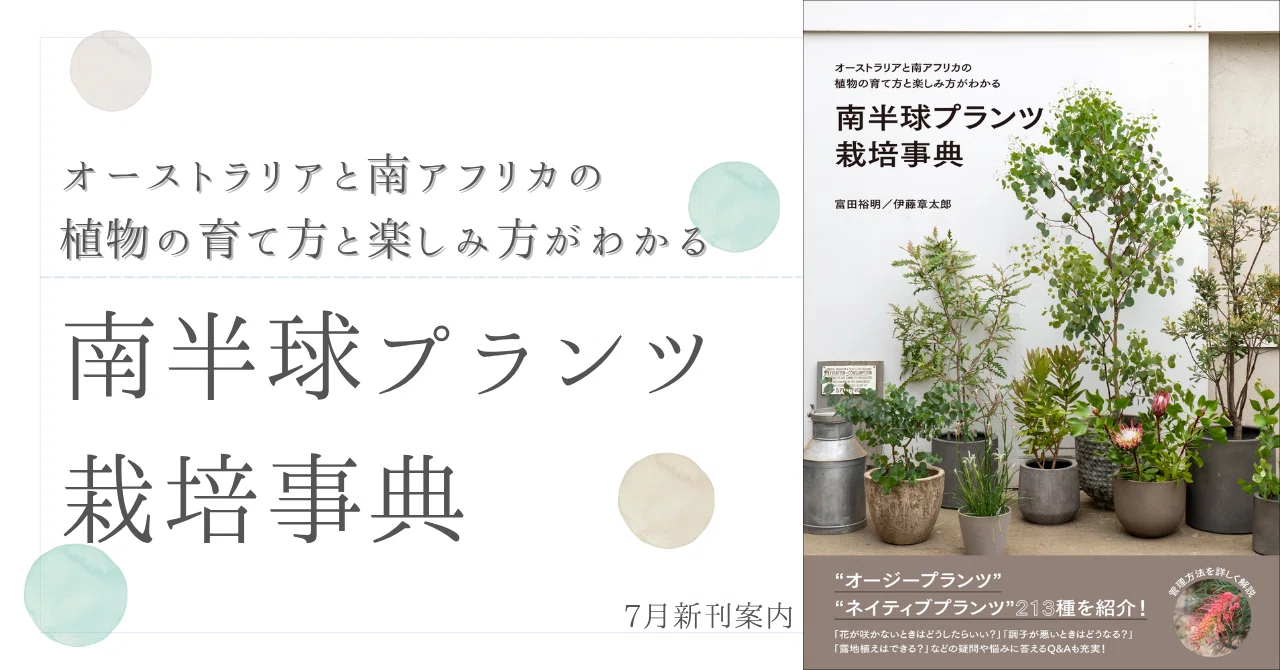 個性的な色やかたちが大人気】国内初の“オージープランツ