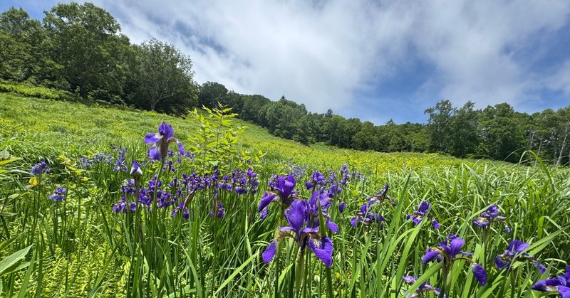 フラット登山は続くよどこまでも⑦〜乙女高原という愛らしさいっぱいの空
