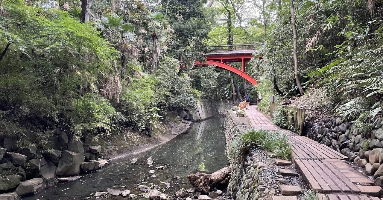 等々力渓谷公園 / Todoroki Valley Park(Tokyo, Japan)｜N.Hagimoto