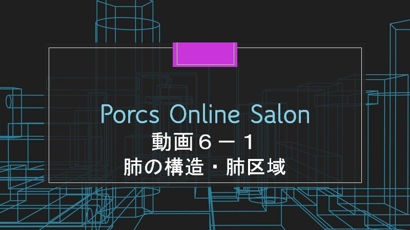 オンラインサロン動画更新 概要 解剖としてまずは肺の構造を覚えましょう 肺区域はレントゲン画像を見るとき シルエットサインなど や聴診をするときにイメージができると役に立ちます オンラインサロ 真鍋 Porcs代表 Note