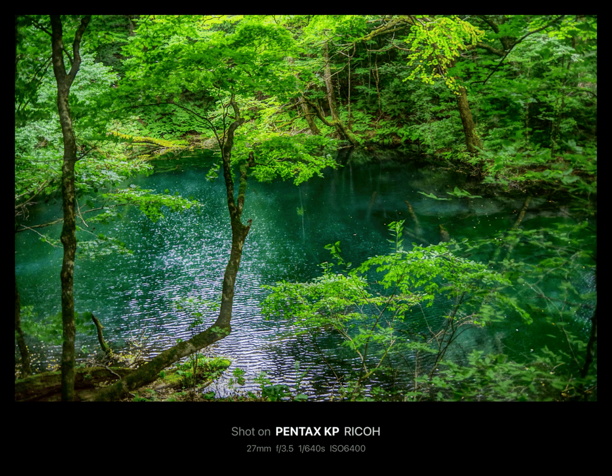 MAX80%OFF／セール開催中 青池 | 十二湖 / Pond【2021 Aoike | Lakes] Juniko[Twelve Lake ビカクシダ