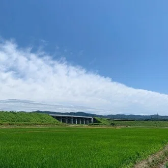 いち田|ごはんで家族を整える米農家
